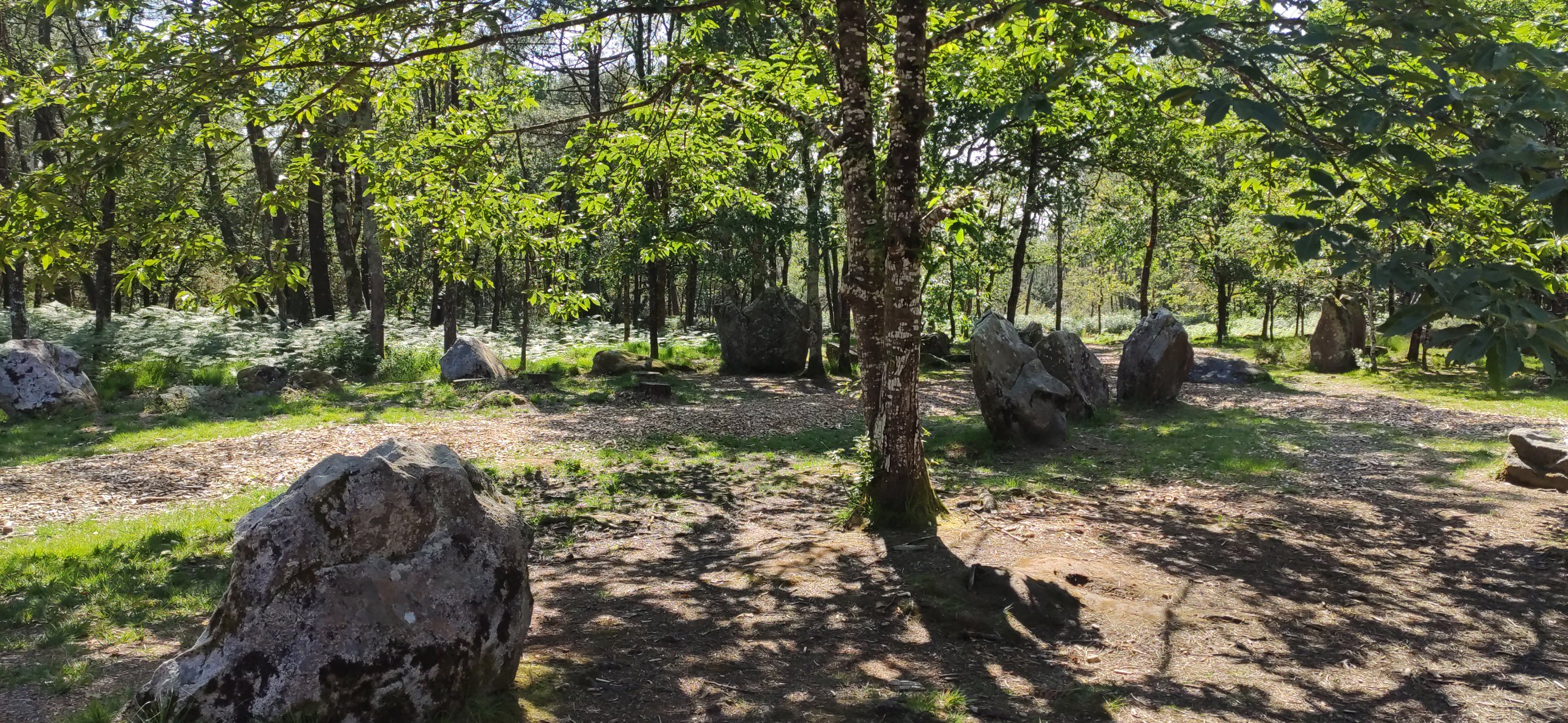 Les alignements de menhirs du Morbihan