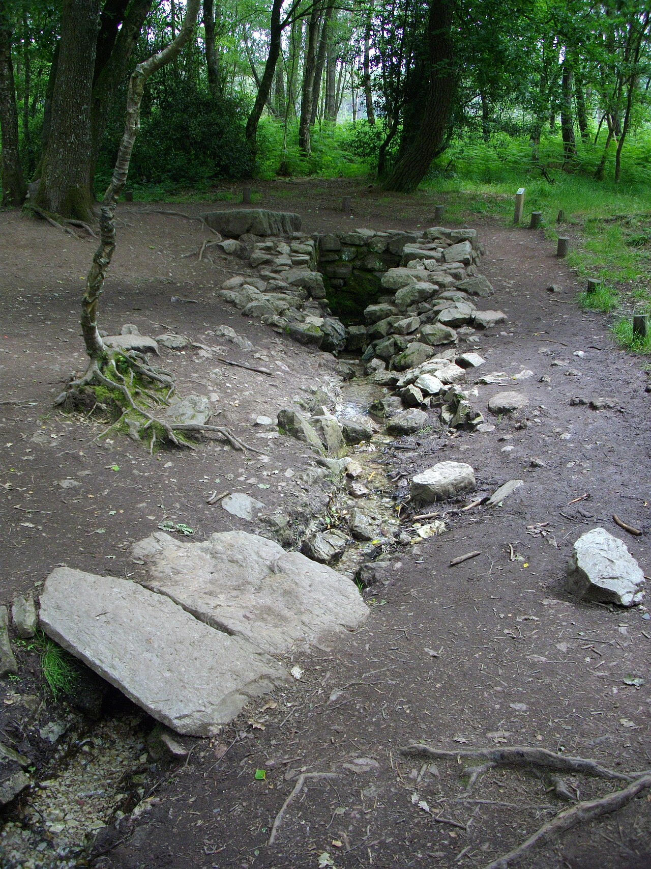 La fontaine de Barenton dans la forêt de Paimpont