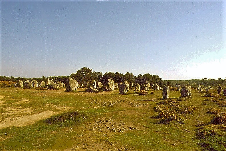 Les alignements de menhirs de Kermario à Carnac